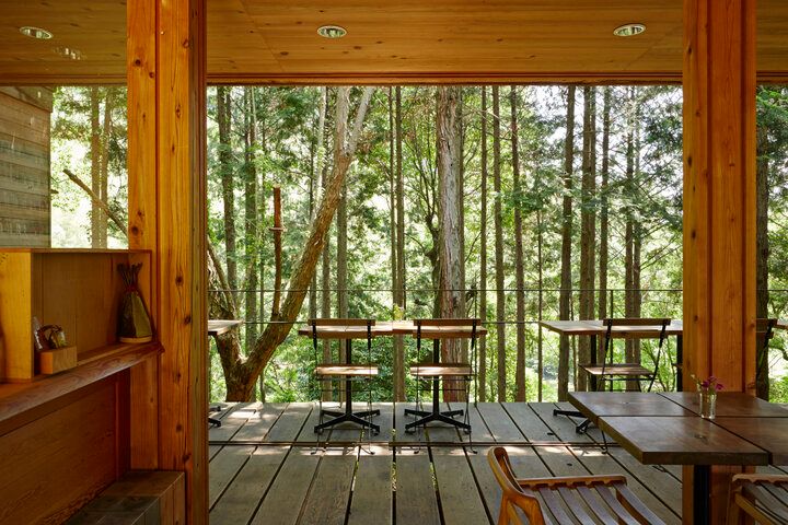 森の中にある「KITOKURAS cafe」で、マイナスイオンを浴びるカフェタイムを