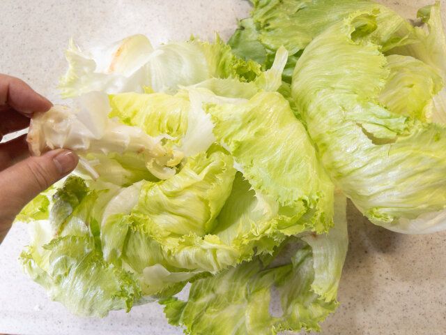 レタスの葉を一枚ずつ剥がしておきます。