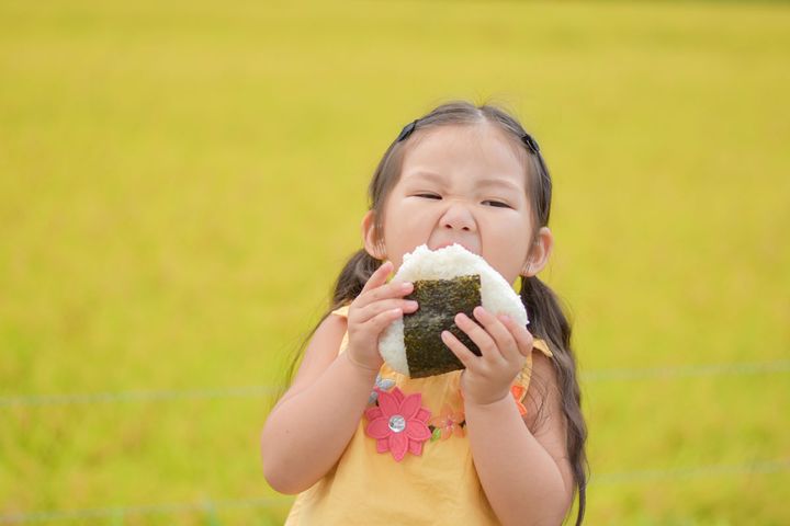 1万人を対象にしたおにぎり大調査