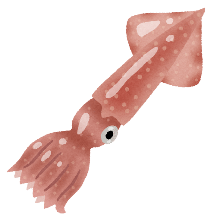 イカのイラスト | かわいいフリー素材集 いらすとや