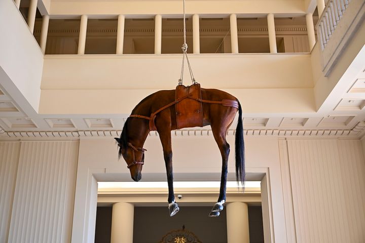 ロシア革命家レオン・トロツキーに着想を得た、理想の挫折と悲劇的な死を象徴する剥製馬のインスタレーションの『The Ballad of Trotsky』1996年。© nvstudio