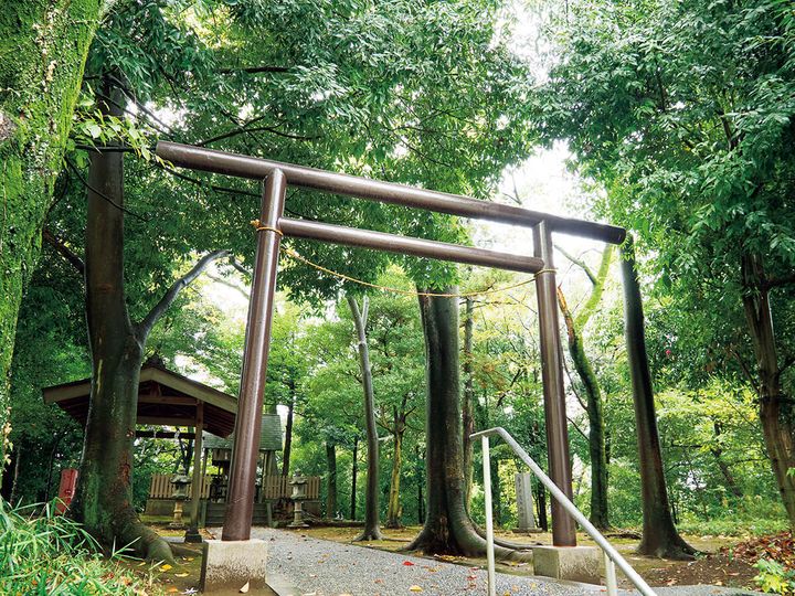 神奈川〈生田神社〉鳥居