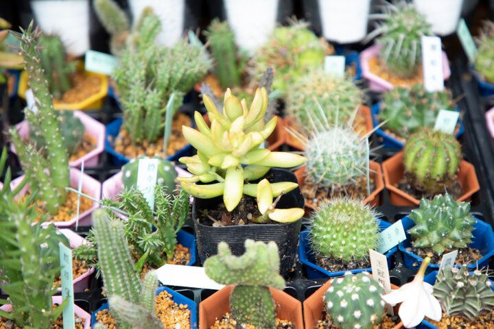 港の景色に心ときめく横浜ベイエリア♪「MARINE & WALK YOKOHAMA」で過ごす休日