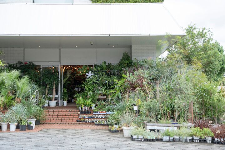 港の景色に心ときめく横浜ベイエリア♪「MARINE & WALK YOKOHAMA」で過ごす休日