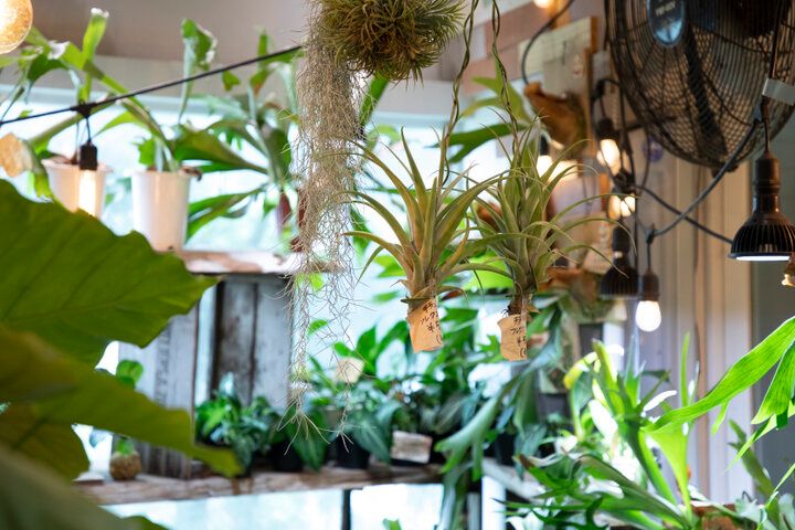 港の景色に心ときめく横浜ベイエリア♪「MARINE & WALK YOKOHAMA」で過ごす休日