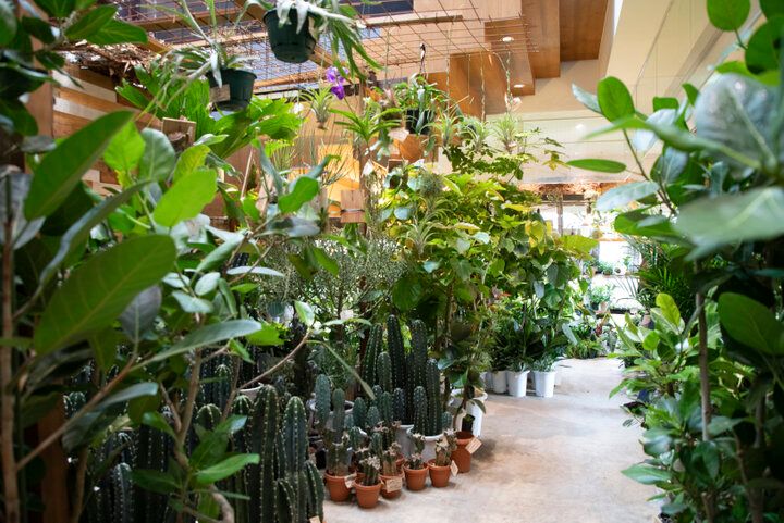 港の景色に心ときめく横浜ベイエリア♪「MARINE & WALK YOKOHAMA」で過ごす休日