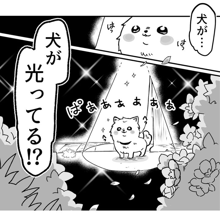 漫画「スポットライト犬」のカット（ちーぱかさん提供）