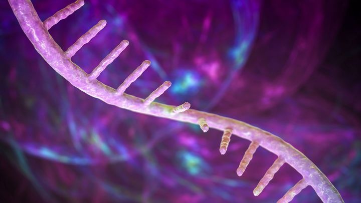 ほぼあらゆるウイルス感染から保護するmRNA薬