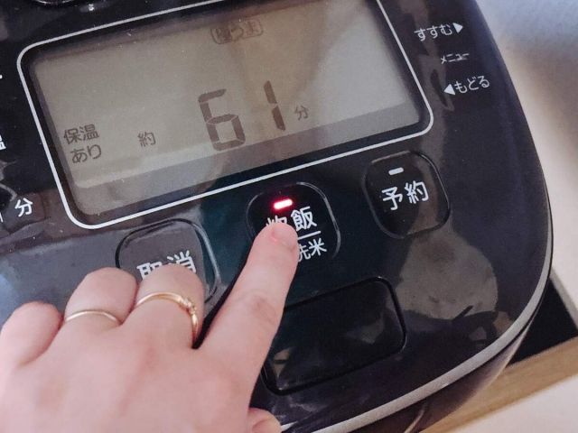 6Pチーズごはん