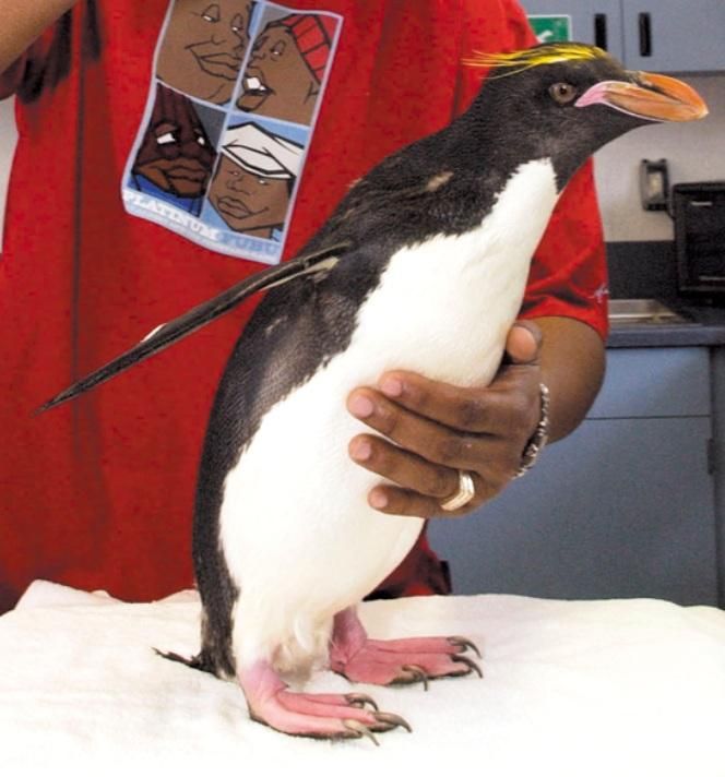 日向坂46松尾桜さん、鹿島アントラーズ愛を語る！推し選手の荒木遼太郎からのメッセージに「夢みたいです！」と歓喜