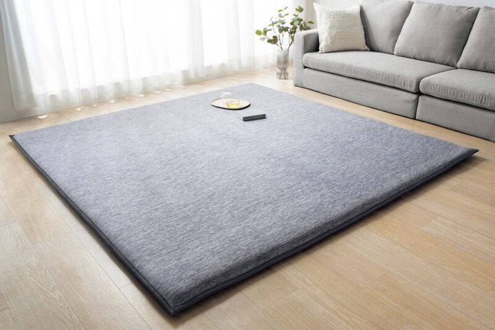 ラ・クッションラグ 接触冷感極厚タイプ￥14,000前後〜／アイリスオーヤマ