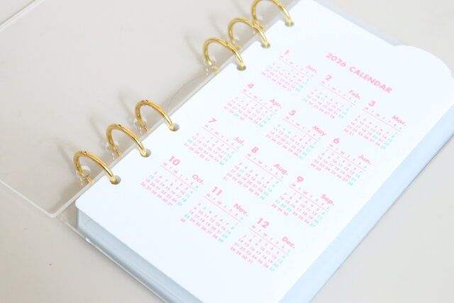 ダイソー 2026年システム手帳用日付入下敷き（B6バイブル） 使用例