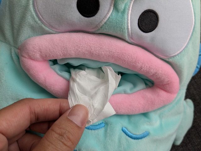 ハンギョドンの口からティッシュを取り出している様子が分かるアップ写真