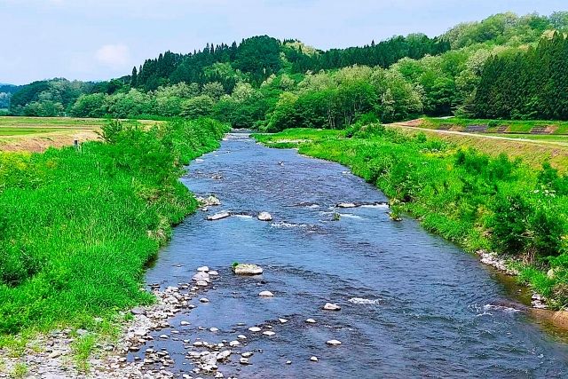 大人の心理テスト 4択 川