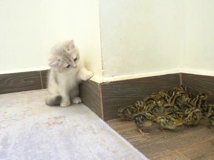 初めての対面…