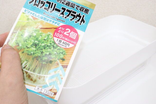 ダイソーの水栽培プランターと種