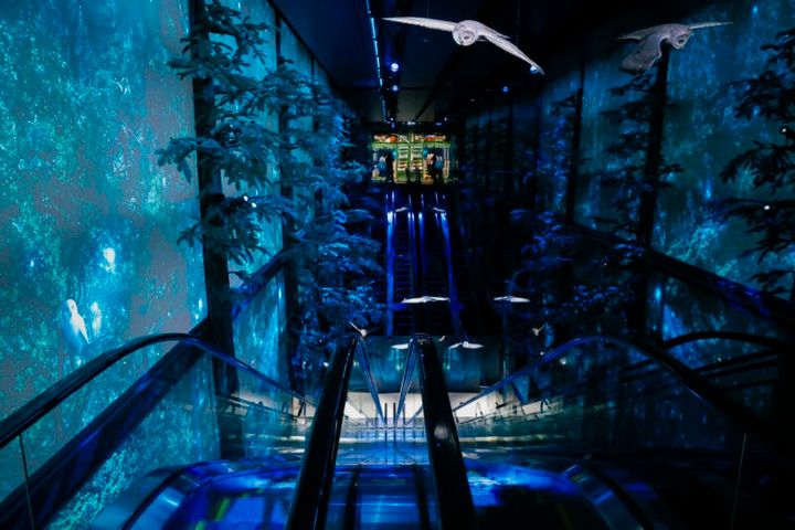 ハリーポッター ショップ 原宿