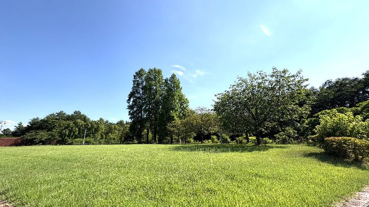 岩手県立博物館