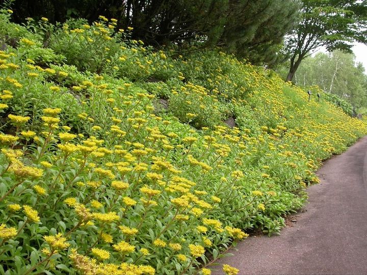 岩手県立博物館