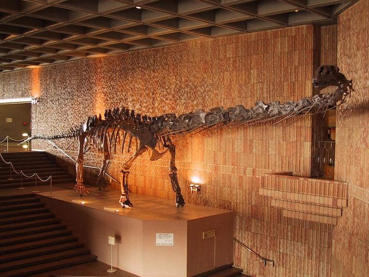 岩手県立博物館