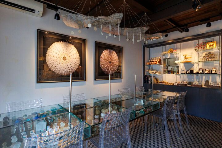 自然の造形美がスイーツに♪ 博物館みたいなカフェ「ウサギノネドコ京都店」