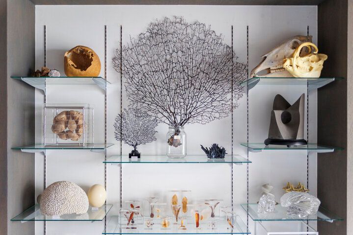 自然の造形美がスイーツに♪ 博物館みたいなカフェ「ウサギノネドコ京都店」