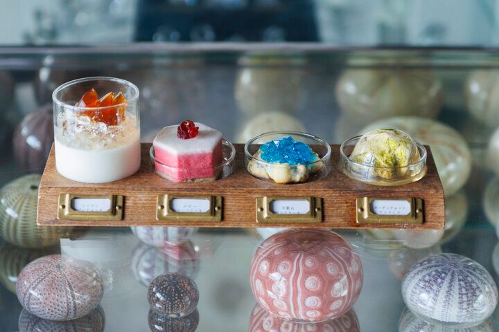 自然の造形美がスイーツに♪ 博物館みたいなカフェ「ウサギノネドコ京都店」