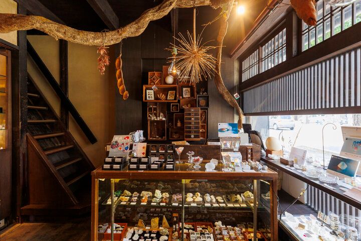 自然の造形美がスイーツに♪ 博物館みたいなカフェ「ウサギノネドコ京都店」