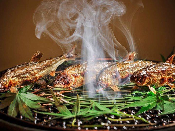 六本木『鮨 みうら』の鮎の塩焼きに炭の香りを纏わせている様子