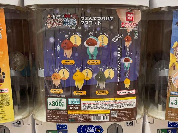 画像2: 出典：ftn_pics