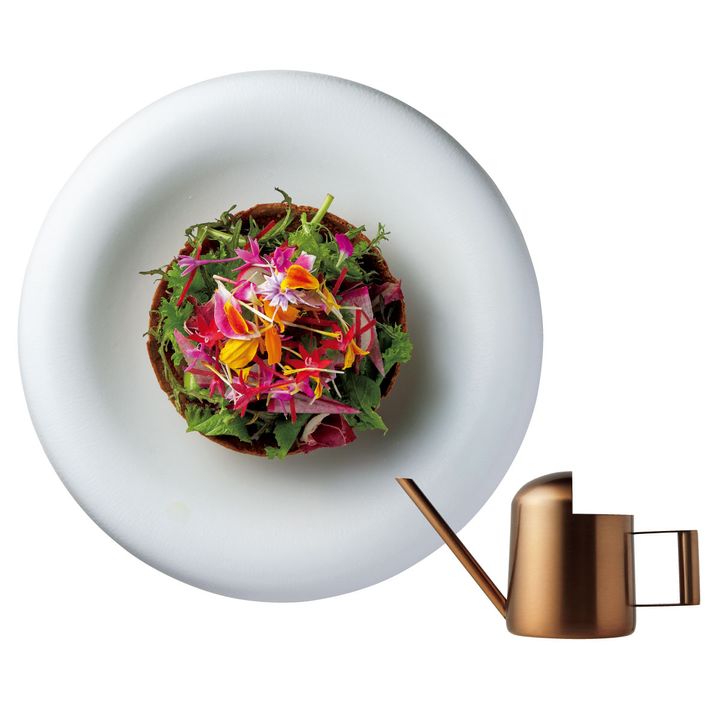 サラダ アロゾワール