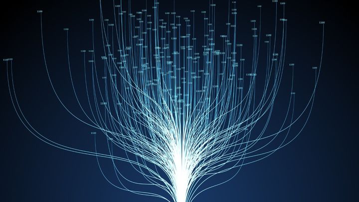 【まとめ】言葉の進化を支える“省エネ構造”