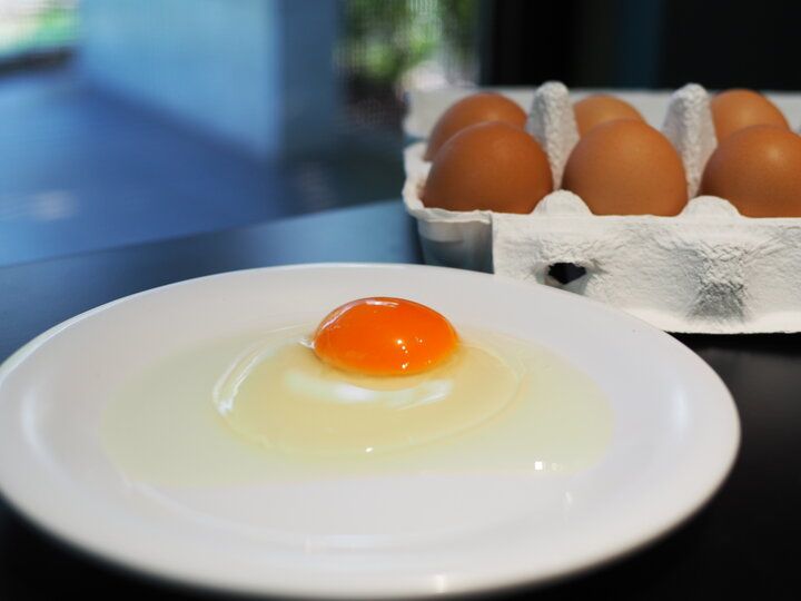 新鮮な平飼い卵を使ったふわふわパンケーキが絶品！緑と光に包まれる癒し空間「eggg Park」