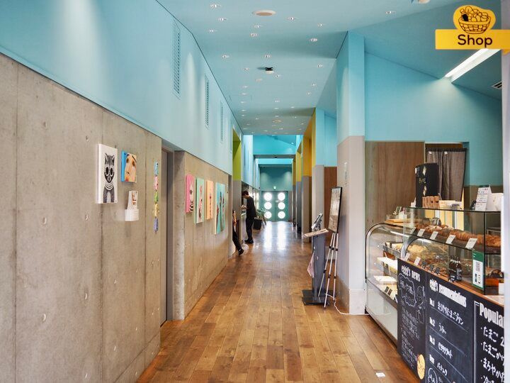 新鮮な平飼い卵を使ったふわふわパンケーキが絶品！緑と光に包まれる癒し空間「eggg Park」