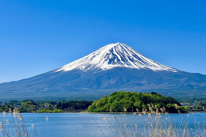 富士山のてっぺんは誰のもの！？