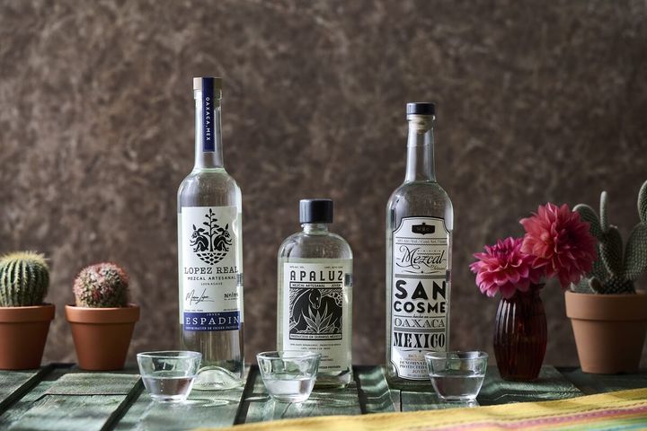 蒸留酒“メスカル”