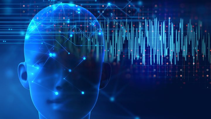 回路ごとの反応と喜びの涙