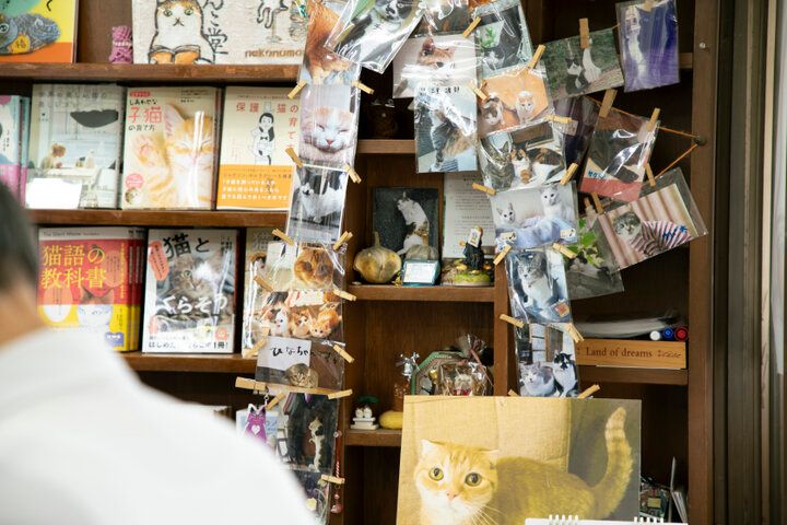 猫グッズもたくさん♪神保町「猫本専門店 にゃんこ堂」でお気に入りの猫本探し