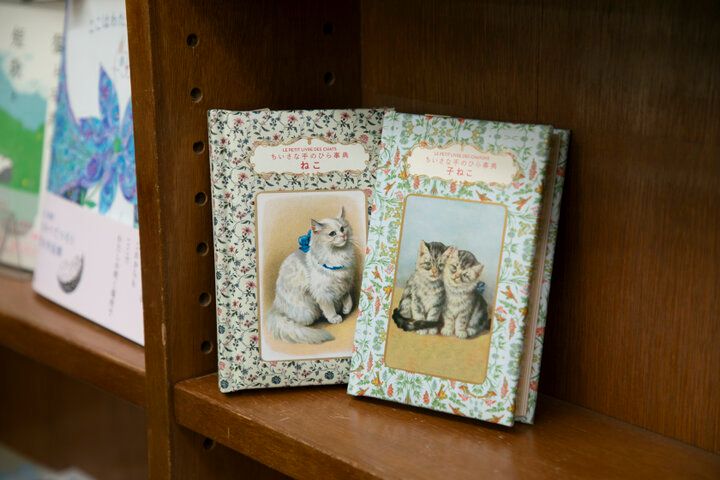 猫グッズもたくさん♪神保町「猫本専門店 にゃんこ堂」でお気に入りの猫本探し