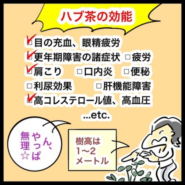 緑内障ダイアリー／へそ