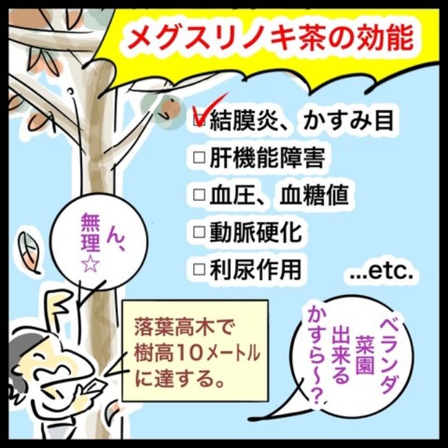 緑内障ダイアリー／へそ