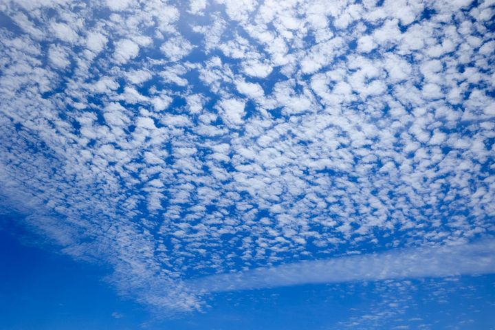 巻積雲（うろこ雲）