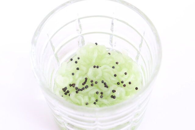 ダイソーのブロッコリースプラウトはグラスで育てられる