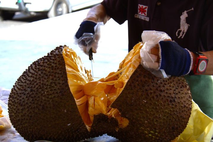 なにこれ、でかっ⁉ 巨大なジャックフルーツなど、見たことのないフルーツや魚がいっぱい。ちょっとした冒険気分で楽しもう