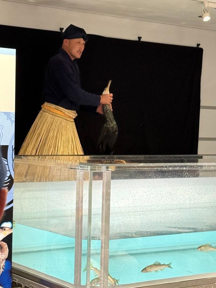 うかいミュージアム