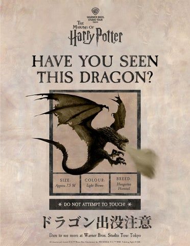 「ドラゴン出没」イベント