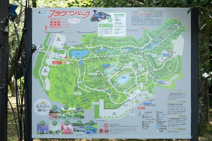 はままつフラワーパークでは、飽きることなく楽しめる工夫が随所に施されています