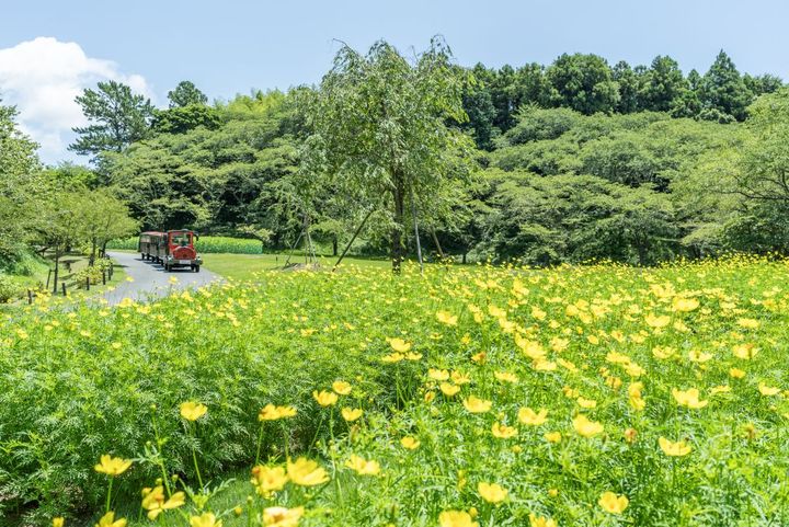 はままつフラワーパークの風景