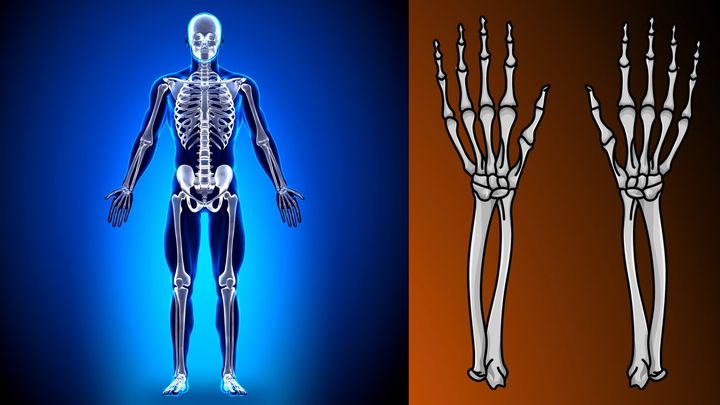 1400年変わらない価値観