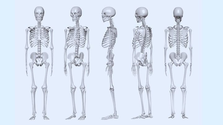 体の価値を決める人類の「物差し」